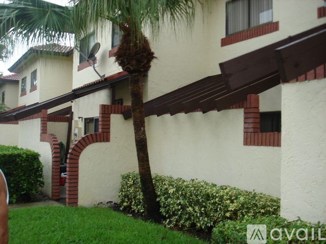 A palm tree in front of a building with a sign that says "available".