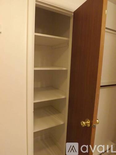 Empty shelves in a wooden cabinet with a brass door handle.