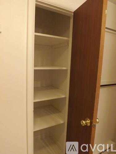 Empty shelves in a wooden cabinet with a brass door handle.