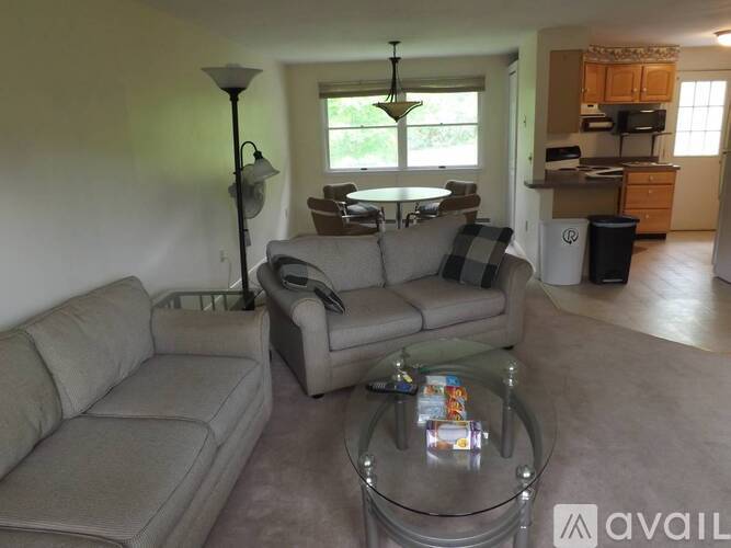 A living room with a grey couch and a glass coffee table.