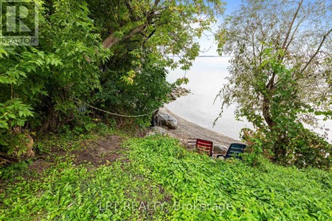 A lush green landscape with a view of the sea.