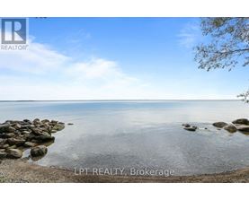 A beach scene with rocks in the water and a tree branch on the right.