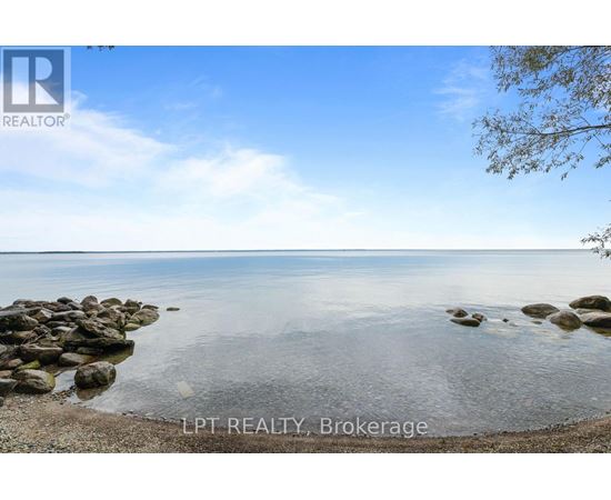 A beach scene with rocks in the water and a tree branch on the right.