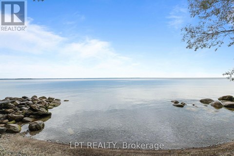 A beach scene with rocks in the water and a tree branch on the right.