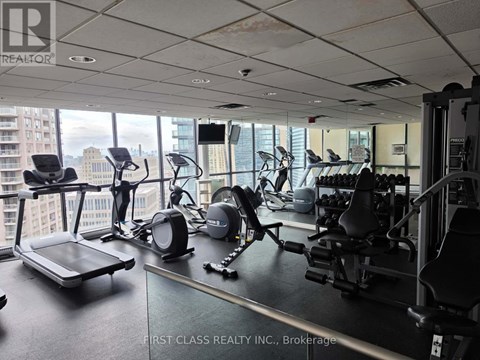 A gym with treadmills, weights and exercise machines.