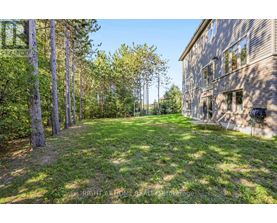 A backyard with a building and trees.