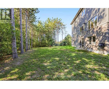 A backyard with a building and trees.