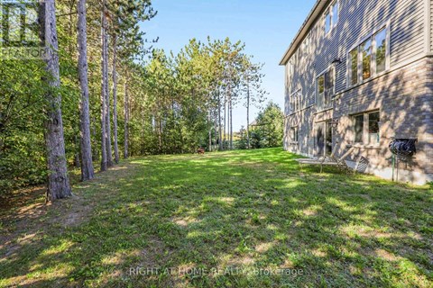 A backyard with a building and trees.