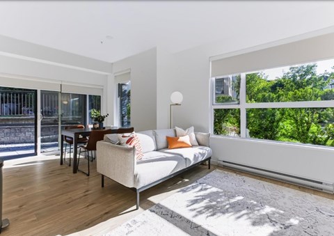 A living room with a white couch and a grey rug.
