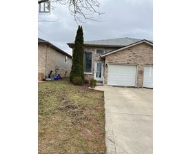 A house with a driveway and a tree in front.