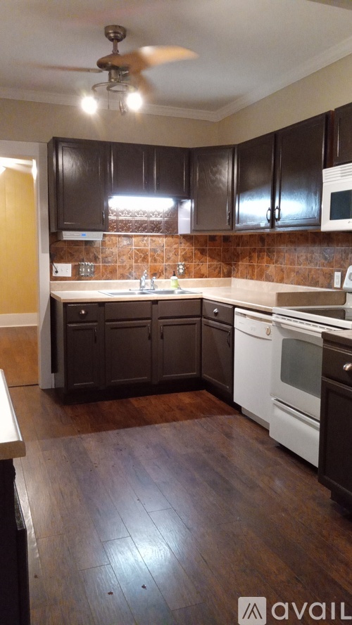 243 Locust Street 3 Beds Single Family Home for Rent - Photo gallery 2