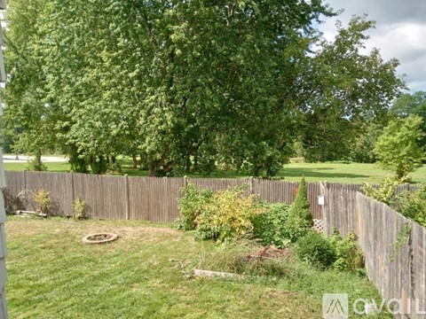 A backyard with a wooden fence and green grass.