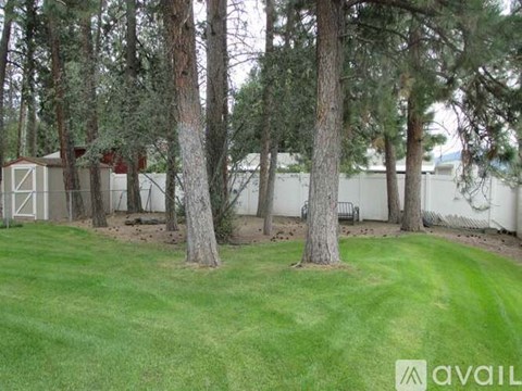 A grassy area with trees and a white fence in the background.