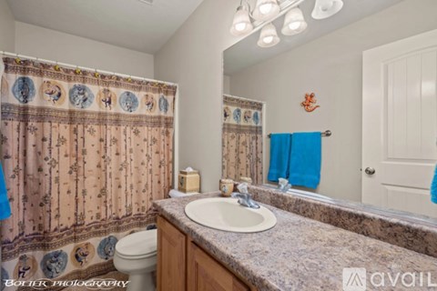 A bathroom with a sink, toilet, and shower curtain.