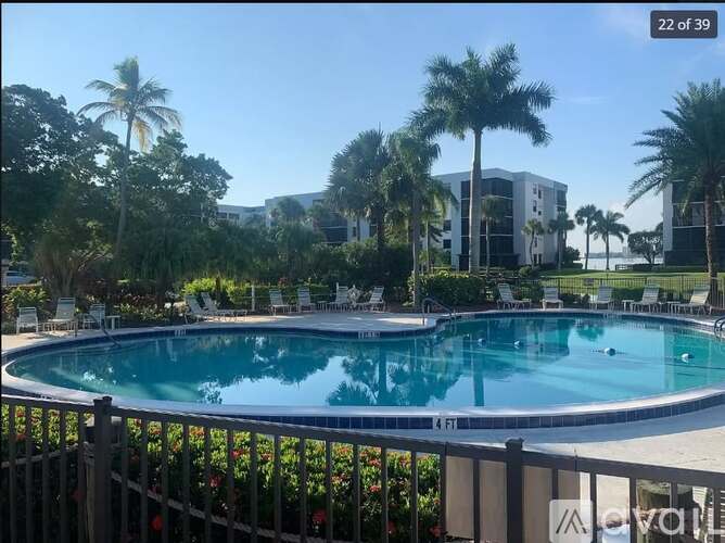 A pool surrounded by palm trees and chairs.