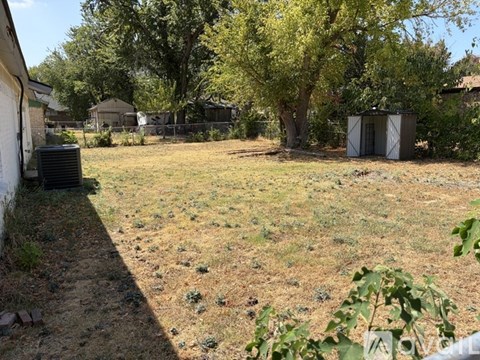 A backyard with a tree, a shed, and a fence.