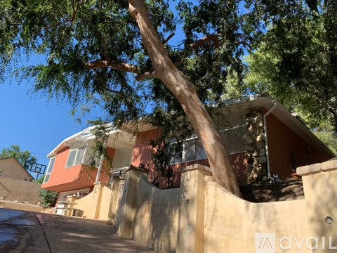A tree is in front of a house with a sign that says "available".