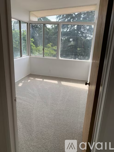 A room with a carpeted floor and a view of trees through the windows.