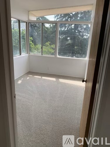 A room with a carpeted floor and a view of trees through the windows.