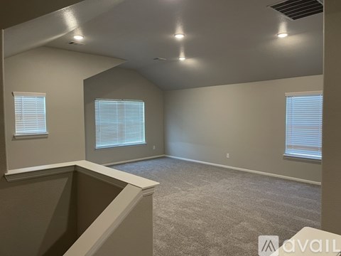 A spacious room with carpeted floor and two windows.