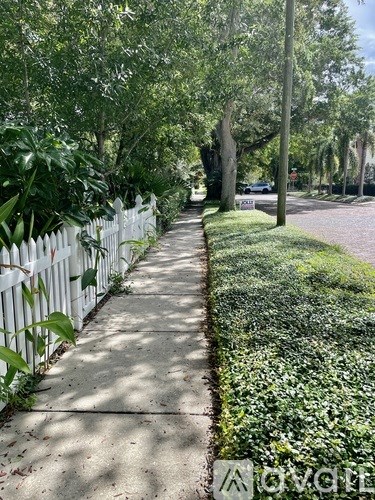 A sidewalk runs down the middle of a tree-lined street.