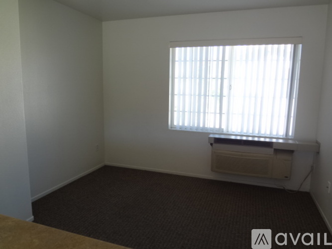 A room with a window and a carpeted floor.