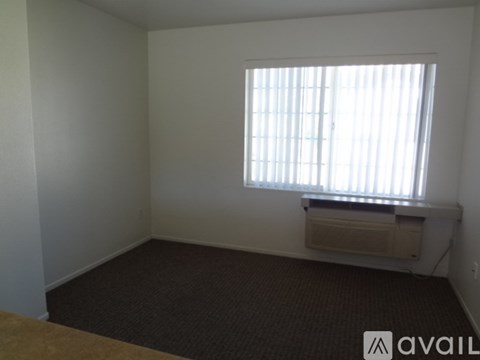 A room with a window and a carpeted floor.