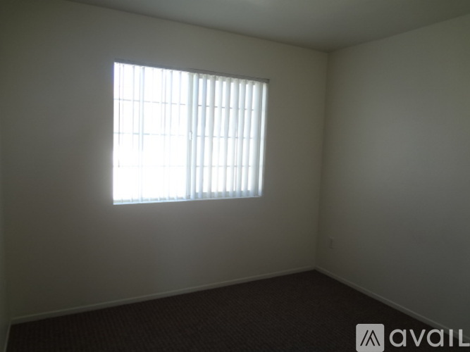 A room with a window and a carpeted floor.