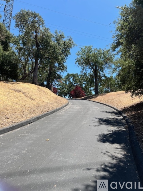 A tree-lined road curves to the right with a clear blue sky above.