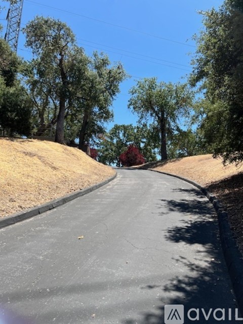 A tree-lined road curves to the right with a clear blue sky above.