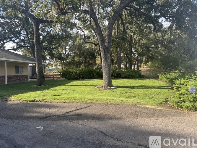 A tree in a grassy area with a house in the background.