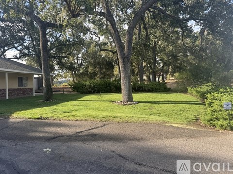 A tree in a grassy area with a house in the background.