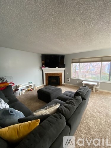 A living room with a grey couch and a fireplace.