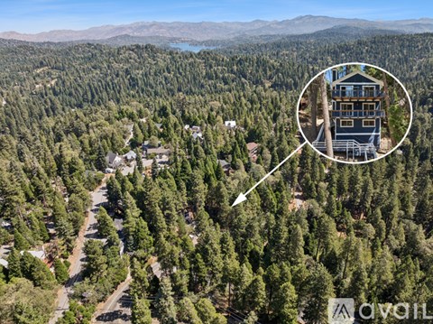 A bird's eye view of a house surrounded by trees with a mountain in the distance.