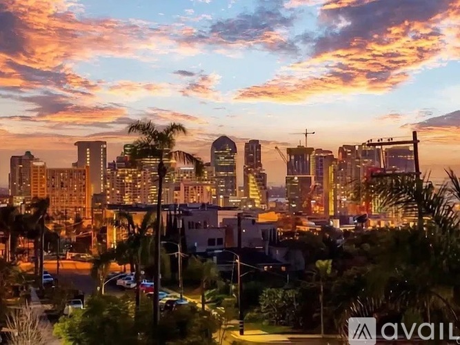 A cityscape at sunset with buildings and palm trees.
