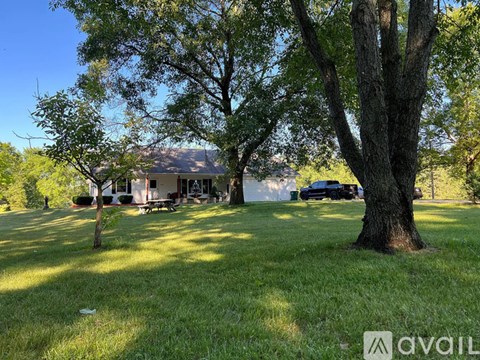 A tree stands in a grassy field in front of a house.