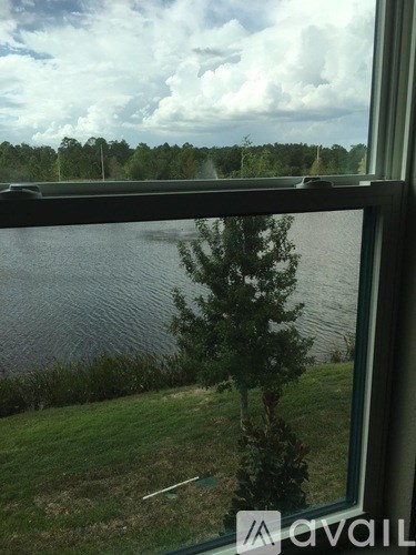 A view of a lake through a window with a tree in the foreground.