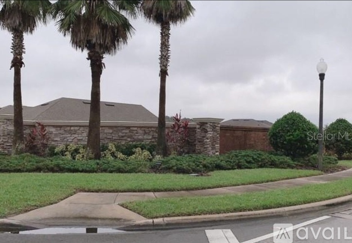A street view with palm trees and a building in the background.