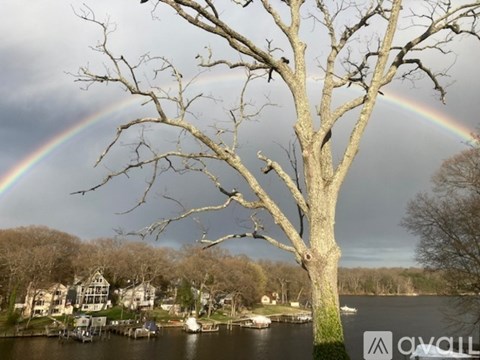 A tree stands in front of a rainbow over a lake.