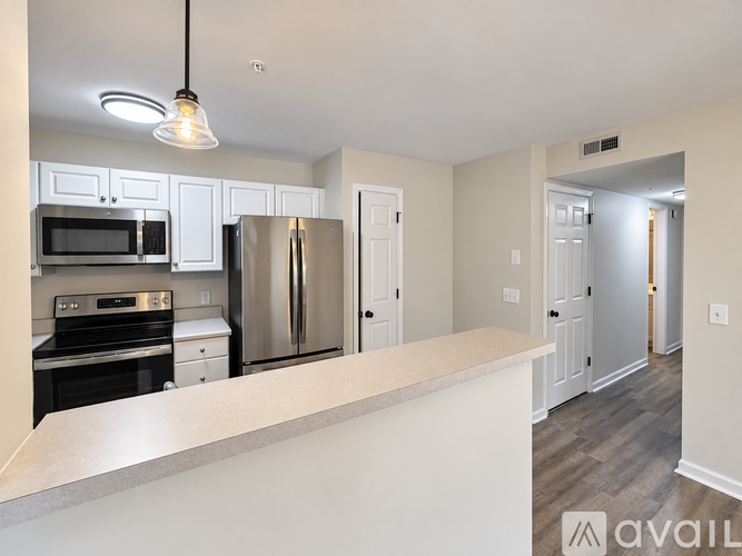 223 Mill Pond Dr 2 Beds Apartment for Rent - Photo gallery 4