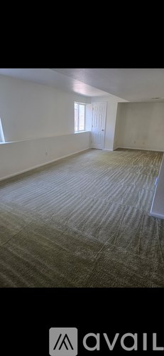 A room with a carpeted floor and a door.