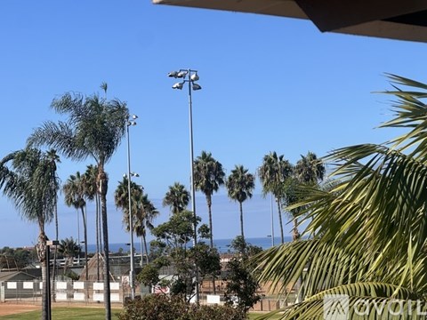 Palm trees are seen in the distance behind a sign that says "CYONOLLA".