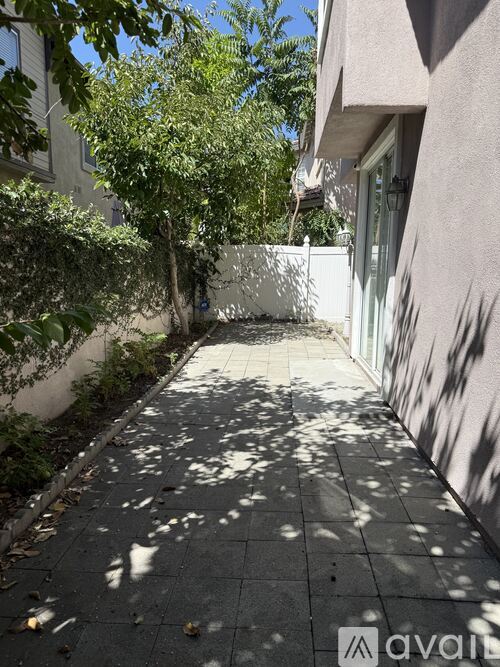 A narrow alley with a tree on the left and a white wall on the right.