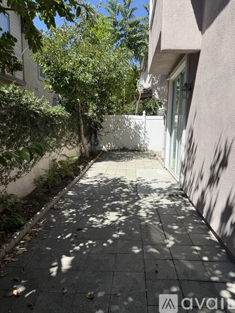 A narrow alley with a tree on the left and a white wall on the right.