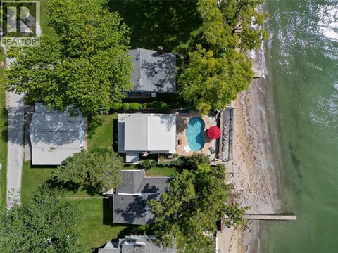 A beach house with a pool is surrounded by trees.