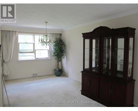 A room with a large cabinet and a potted plant.