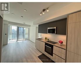 A modern kitchen with wooden cabinets and a black countertop.