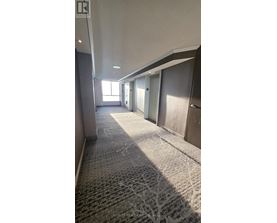 A long hallway with carpeted floors and doors on both sides.