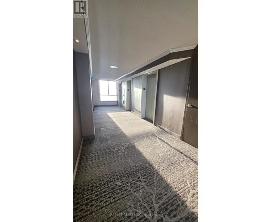 A long hallway with carpeted floors and doors on both sides.