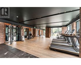 A gym with treadmills and exercise equipment.
